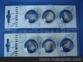 【供應(yīng)磁性產(chǎn)品、磁性文具、磁性材料(圖)】價格,廠家,圖片,永磁材料,寧波合榮磁業(yè)-